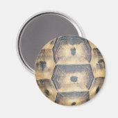 Tortoise Muschel Muster Magnet (Vorderseite/Rückseite)
