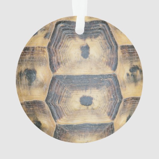Tortoise Muschel Muster Ornament (Rückseite)