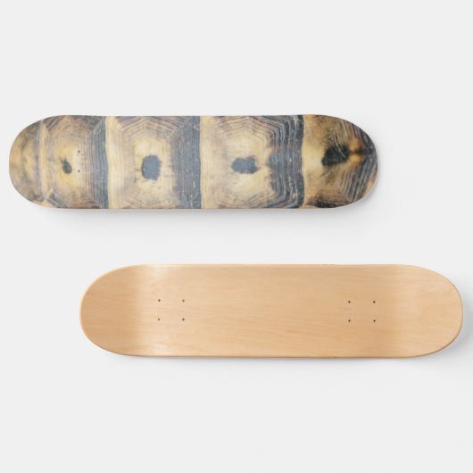 Tortoise Muschel Muster Skateboard (Horizontal)