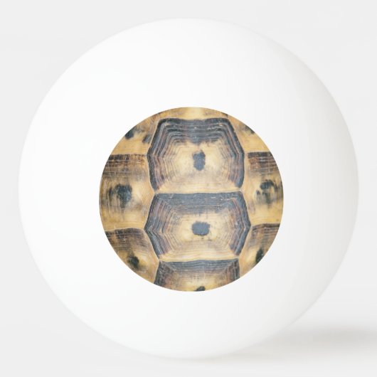 Tortoise Muschel Muster Tischtennisball (Rückseite)