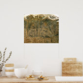 Tortoise Muschel Nature Foto Poster (Küche)