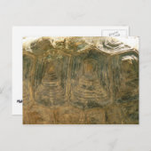 Tortoise Muschel Nature Foto Postkarte (Vorne/Hinten)