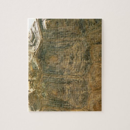 Tortoise Muschel Nature Foto Puzzle (Vertikal)