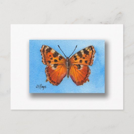 Tortoise Muschel Schmetterling Postkarte (Vorderseite)