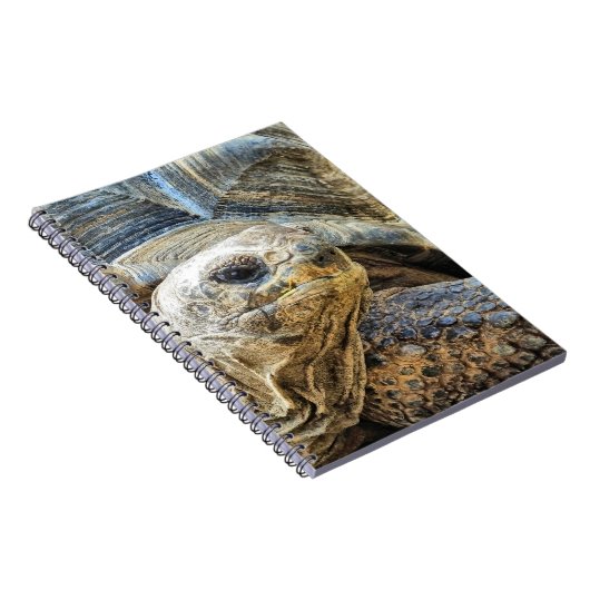 TORTOISE NOTIZBLOCK (Rechte Seite)