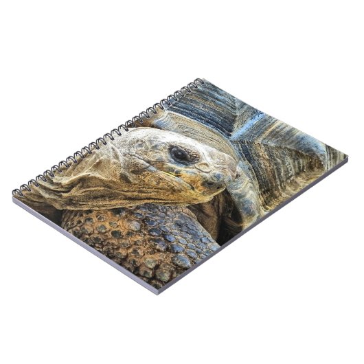 TORTOISE NOTIZBLOCK (Linke Seite)