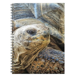 TORTOISE NOTIZBLOCK
