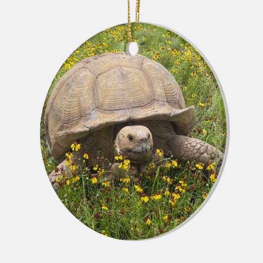 Tortoise Ornament (Links)