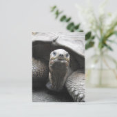 Tortoise Postcard Postkarte (Stehend Vorderseite)