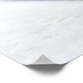 Tortoise Poster (Ecke)