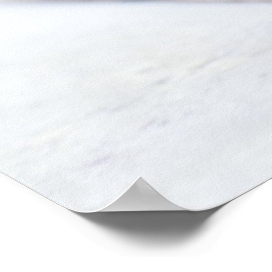 Tortoise Poster (Ecke)