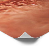 Tortoise Poster (Ecke)