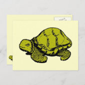 Tortoise Postkarte (Vorne/Hinten)