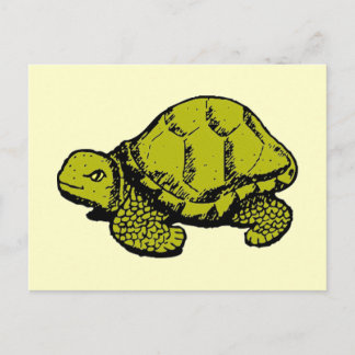 Tortoise Postkarte