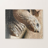 Tortoise Puzzle (Horizontal)