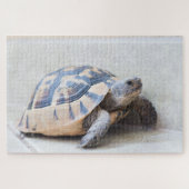 Tortoise Puzzle (Horizontal)
