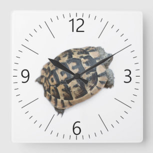 Tortoise Quadratische Wanduhr