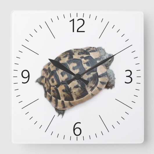 Tortoise Quadratische Wanduhr (Vorderseite)