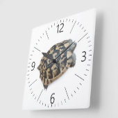Tortoise Quadratische Wanduhr (Winkel)
