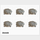 Tortoise Quadratischer Aufkleber (Blatt)