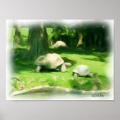 Tortoise Race Poster (Vorne)