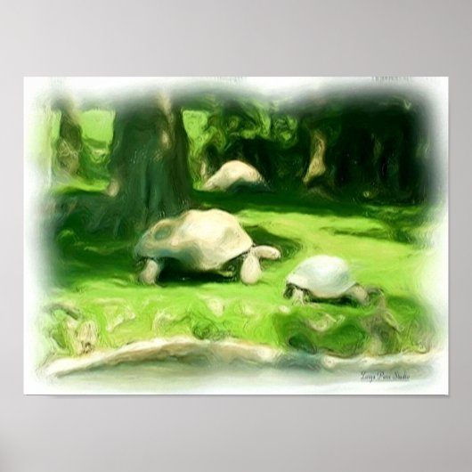 Tortoise Race Poster (Vorne)