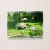 Tortoise Race Puzzle (Horizontal)