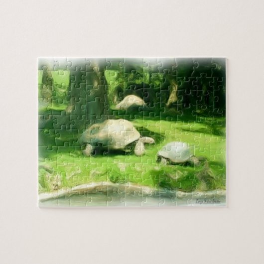 Tortoise Race Puzzle (Horizontal)
