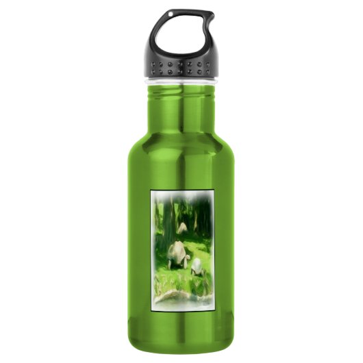 Tortoise Race Trinkflasche (Vorderseite)