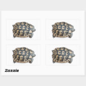 Tortoise Rechteckiger Aufkleber (Blatt)