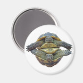 Tortoise Round Magnet (Vorderseite/Rückseite)