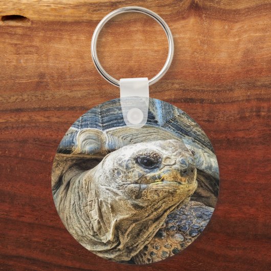 TORTOISE SCHLÜSSELANHÄNGER (Vorderseite)