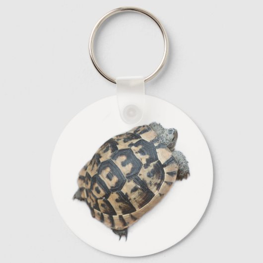 Tortoise Schlüsselanhänger (Vorderseite)