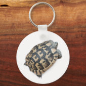 Tortoise Schlüsselanhänger (Vorderseite)