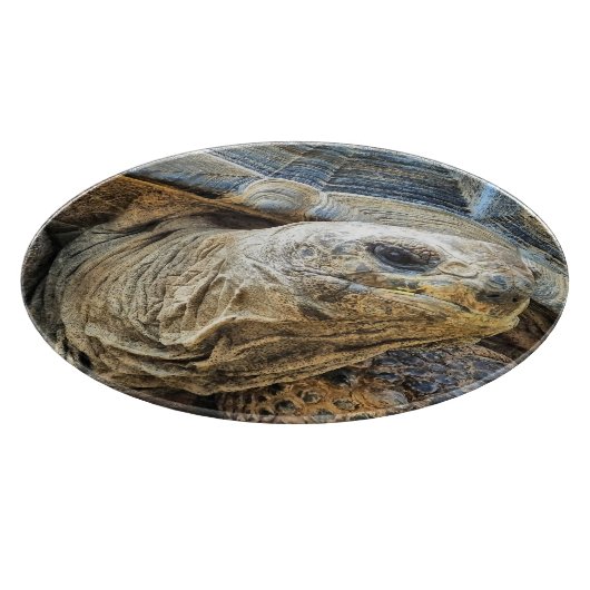 TORTOISE SCHNEIDEBRETT (Ecke)