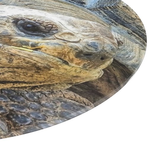 TORTOISE SCHNEIDEBRETT (Ecke)