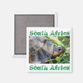 Tortoise Südafrika Naturmagnet Magnet (Vorderseite/Rückseite)