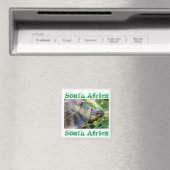 Tortoise Südafrika Naturmagnet Magnet (In Situ (Geschirrspüler))