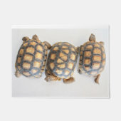 Tortoise Trio Fußmatte (Vorderseite)