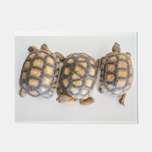 Tortoise Trio Fußmatte (Vorderseite)