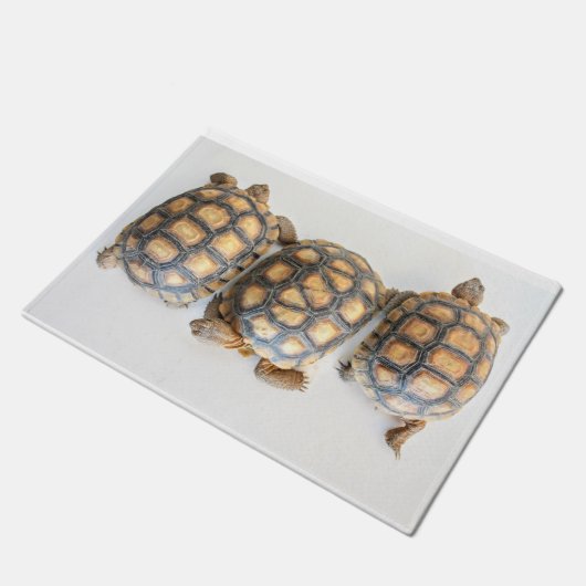 Tortoise Trio Fußmatte (Schrägansicht)