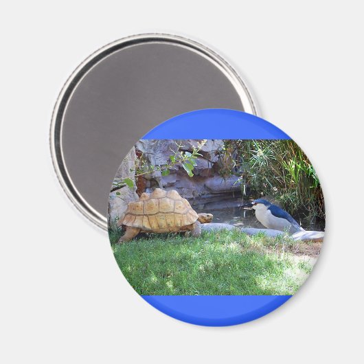 Tortoise und Blue Jay Friends Magnet (Vorderseite/Rückseite)