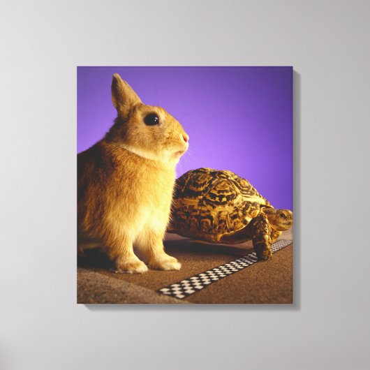 Tortoise und der Hase Leinwanddruck (Vorderseite)