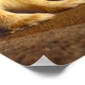 Tortoise und der Hase Poster (Ecke)