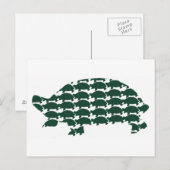 Tortoises Postkarte (Vorne/Hinten)