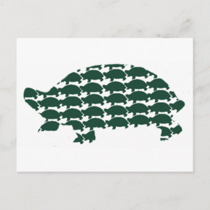 Tortoises Postkarte