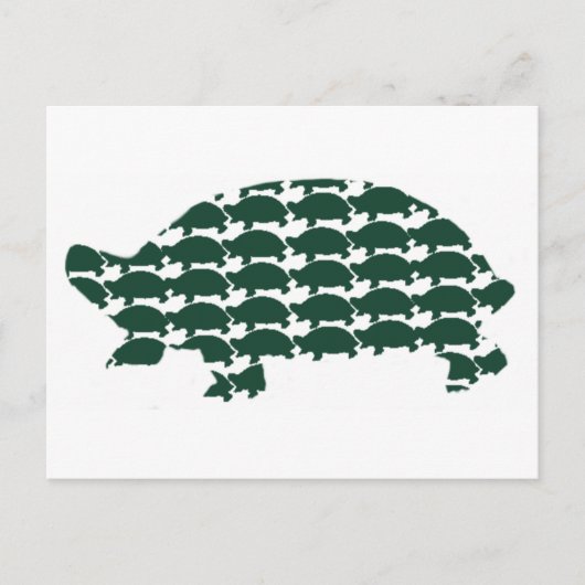 Tortoises Postkarte (Vorderseite)