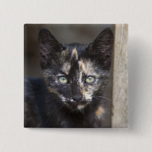 Tortoiseshare Kitt Button