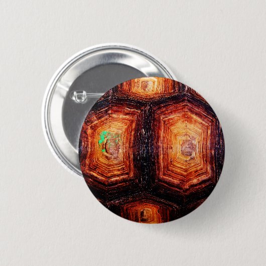 Tortoiseshell Button (Vorne & Hinten)