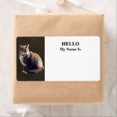 Tortoiseshell Cat (Insitu)